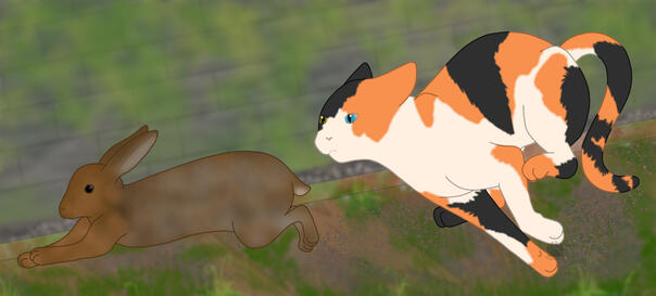 A red and black calico chasing a wild hare along a blurred brown and green background