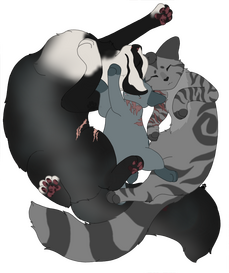 Three grey cats cuddling, one with tabby markings, one spotted and one with white.